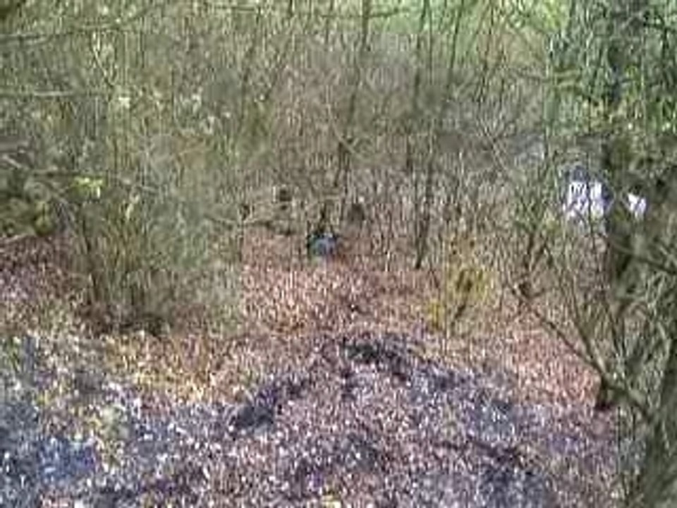 Descente2)