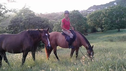 L'intérêt du tourisme équestre en Martinique c'est de pouvoir découvrir l'intérieur des terres