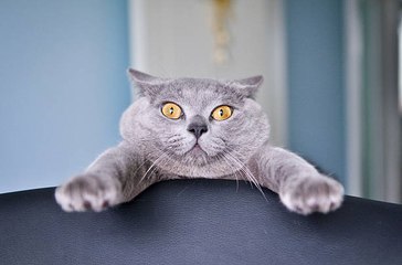 5 faits insolites que vous ignoriez !