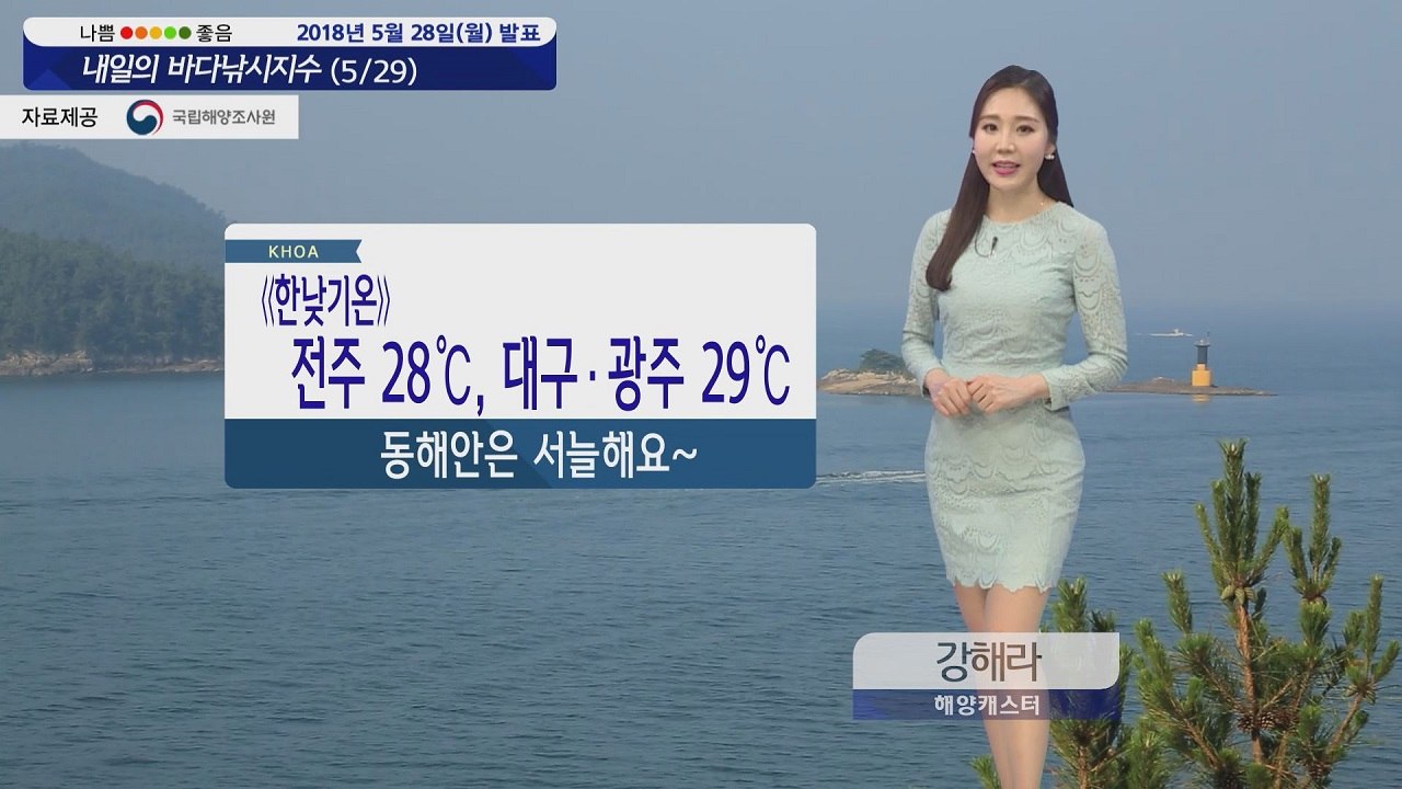 [내일의 바다낚시지수] 5월 29일 전 포인트 출조 가능 잔잔한 파고 바람 강하지 않아  / YTN