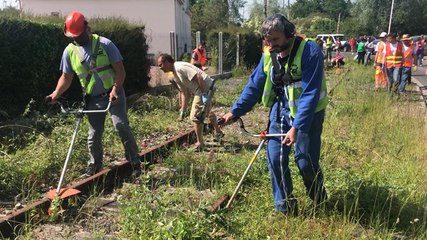 Les cheminots débroussaillent une ancienne voie de chemin de fer