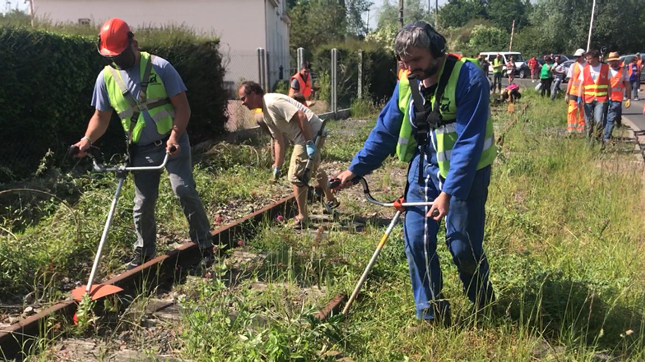 Les cheminots débroussaillent une ancienne voie de chemin de fer