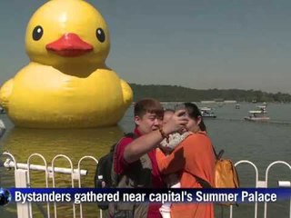 Descargar video: Giant rubber duck continues world tour in Beijing