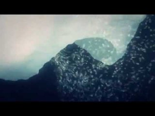 Next Media - Scientists find tower-high channel beneath Antarctica ice shelf