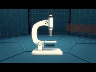 Next Media: How a flu vaccine is manufactured