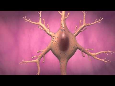 Next Media: Syria polio outbreak spreads, at least 22 infected