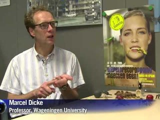 AFP: Grubby meals in Netherlands are catching on