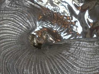 British artist Marc Quinn unveils new works in Hong Kong