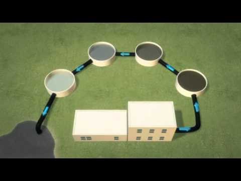 Next Media: Plastic microbeads from exfoliating products pollute the Great Lakes