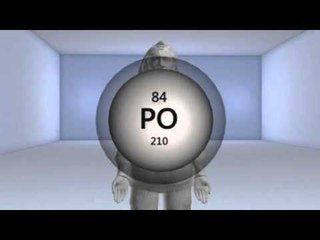 French report dismissed Arafat died of poisoning