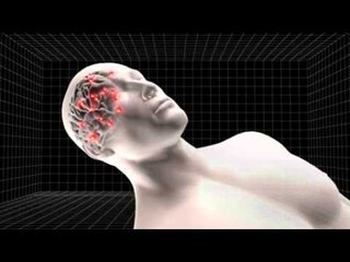 Israeli Ex-PM Sharon's health condition steadily deteriorating