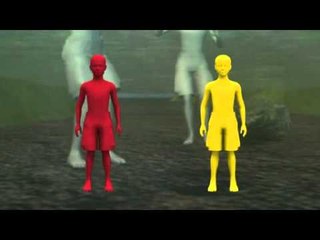 Next Media: Crocodile takes boy in northern Australia