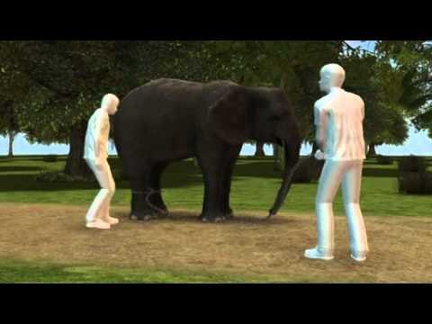 Next Media: Thirty elephants ravage crops in Malaysia