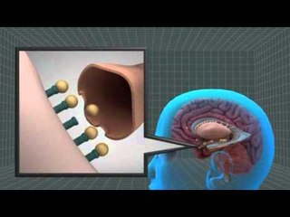 How heroin damages human body