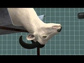 Halal ban stirs calls to cut Danish meat imports