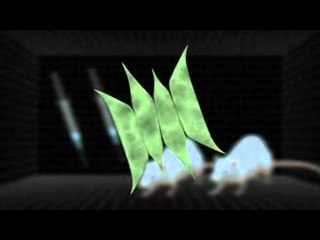 Next Media Video: Scientists discover new virus that appears to compromise cognition