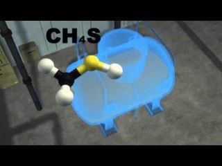 Next Media Video: Gas leak in Texas kills five