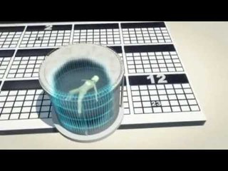 Next Media Video: Body of aspiring actress found in Mexico City water tank