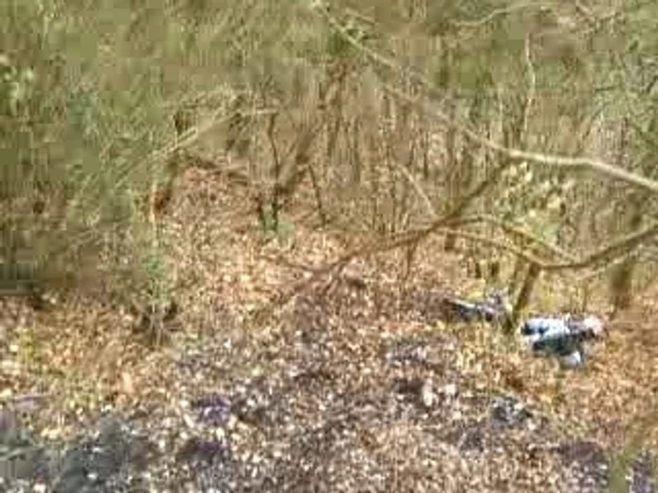 Descente8)
