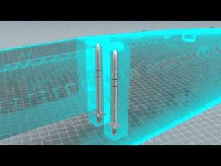 Next Media Video: N.Korea arming submarines with warheads?