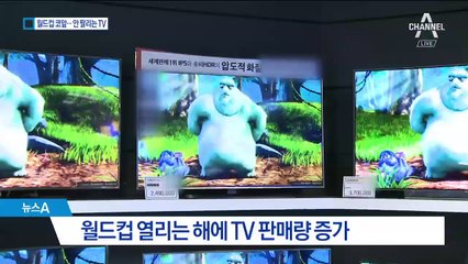 월드컵 코앞인데도…TV 매장 ‘파리 날리는 까닭’