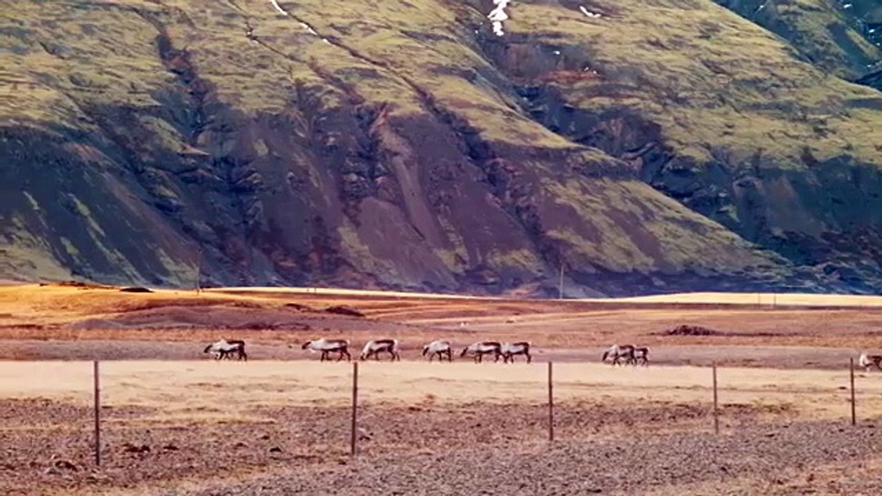 ICELAND: Ring Road Road Trip & Northern Lights (part 1)