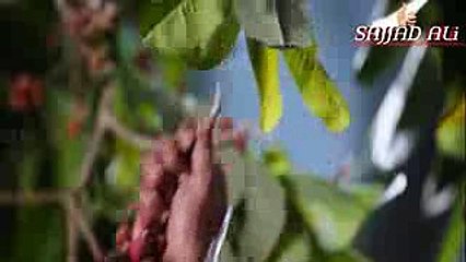 PASHTO NEW BEST DUBBINg 2018 BEST COLLECTION PASHTO DUBBING SONG 2018[1]