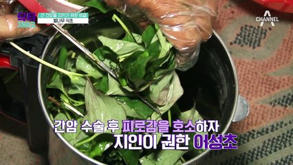 간 건강을 지키는 조금 특별한 방법, 벌나무 식초와 콤부차!