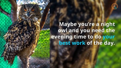 How to Design The Ideal Morning Routine If You're A Night Owl