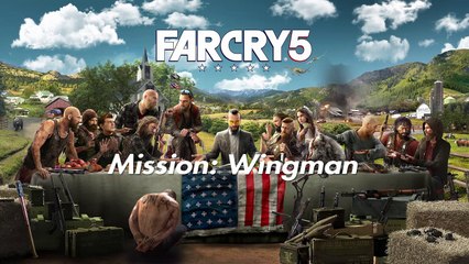 FAR CRY 5: Mission: Wingman (PS 4)
