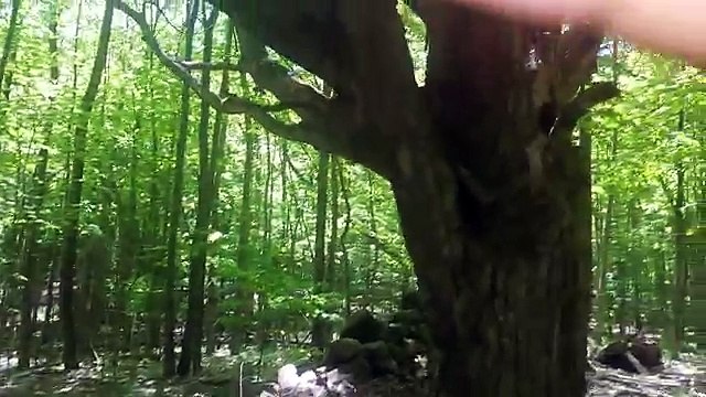 land for sale in ontario canada 18 Acres.3