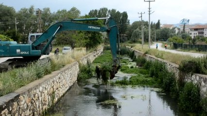 Büyük Menderes nehrinde temizlik çalışmaları