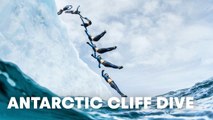 Cliff Diving off an Iceberg in Antarctica? This guy did it.