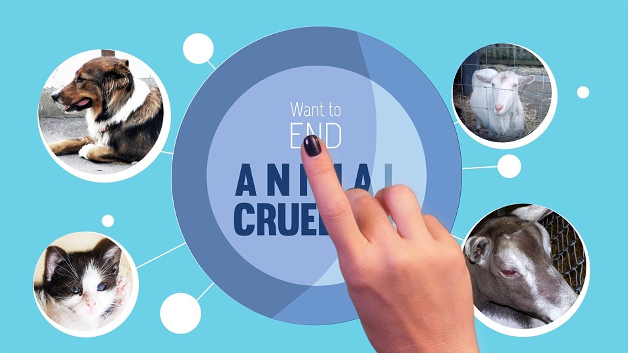 Volunteer Fundraising Advert / NGO Charity Campaign - After Effects project