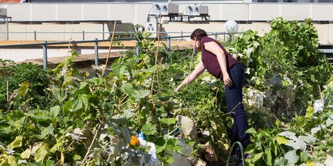 Votez en ligne pour soutenir le Plan Climat - 2