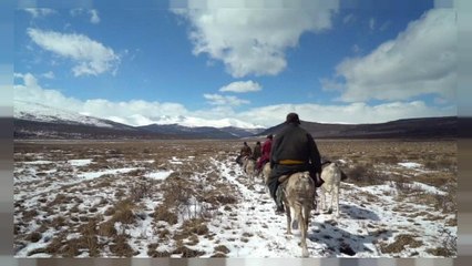 Quel avenir pour le peuple Doukha en Mongolie ?