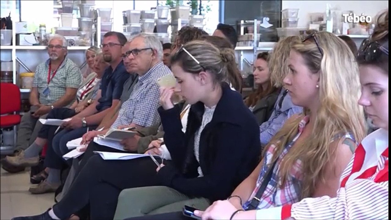 MOF pâtisserie - Ifac Campus des Métiers Brest Finistère