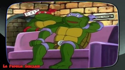 El Matamoscas 111  - TMNT - Las Tortugas Ninja
