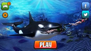 Killer Whale Beach Attack 3D - Android Gameplay HD