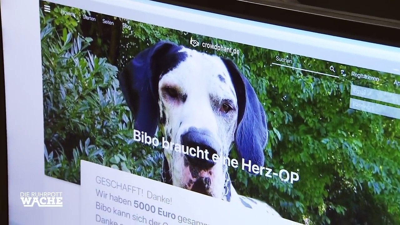 Vermisster Junge auf Video entdeckt: Kriminell abgerutscht? | Die Ruhrpottwache | SAT.1 TV