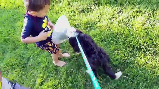 CHIP PRANK & Puppy Surgery Boo Boo + FGTEEV Gaming 1st Reaction (FUNnel Vision Family Vlog)