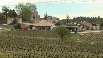 French vinyards hit by violent hailstorm