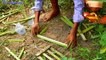 Amazing Quick Rabbit Trap Using palm tree - How To Make Rabbit Trap Using palm tree