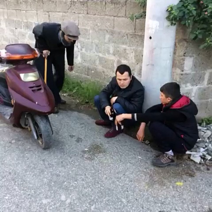 sefakindir (67)