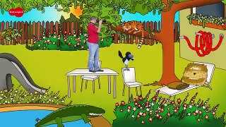Animal Safari for Children + MORE English Stories for Kids | Steve and Maggie | Wow English TV