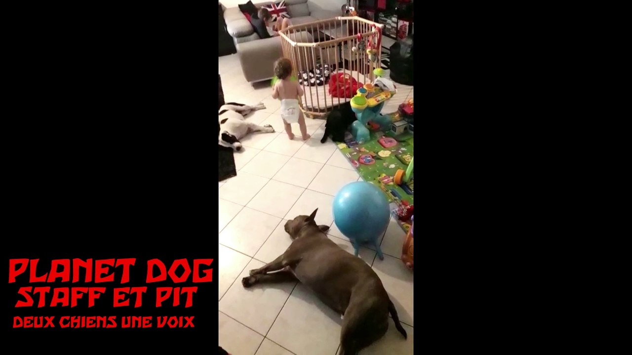 TUPAC & Sheeva ont attaqué mon bébé au visage