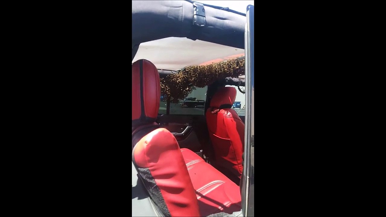 Ces abeilles ont pris une jeep pour leur ruche