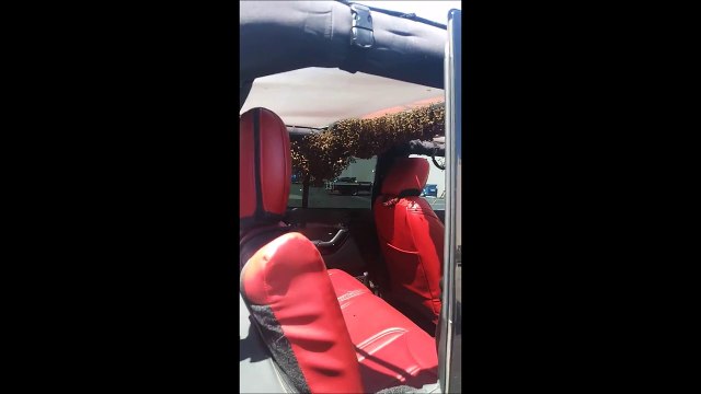 Ces abeilles ont pris une jeep pour leur ruche