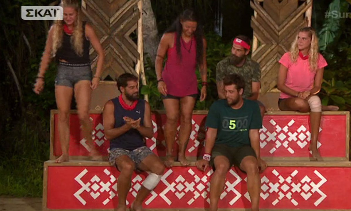 Survivor 2: Παίκτης της ομάδας των Διάσημων παν...