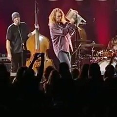 warsh board bobby joe plant 1 mp4 no sound  gif green titled